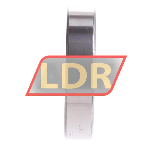 SKF 6009/C3QE6 ürün fotoğrafı 4