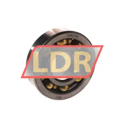 SKF 98202