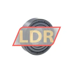SKF 6005-2Z/C3WT rulman resim 2