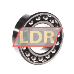 SKF 6010-2RS1/C3