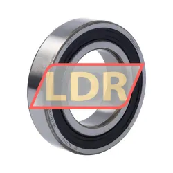 SKF 6007-2RS1