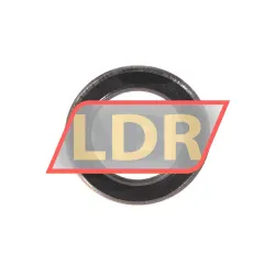 FAG 61802-2RSR-HLC
