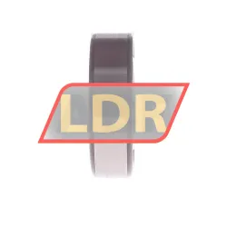 NKE LJ1-C3 rulman resim 2