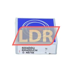 NSK 6004DDU rulman resim 3