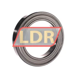 SNR 6020ZZ rulman resim 2