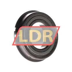 NTN 6006ZZNR rulman resim 2