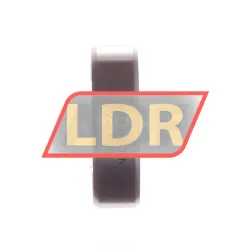 NKE 6001-2Z rulman resim 2