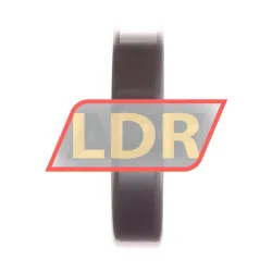 NKE 6007-2Z rulman resim 2