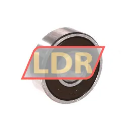 NSK 6000DDU rulman resim 2