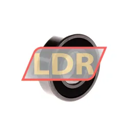 SNR 6004EE rulman resim 2