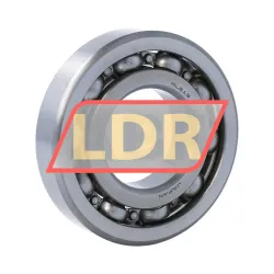 NSK RLS13