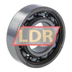 SNR 6003