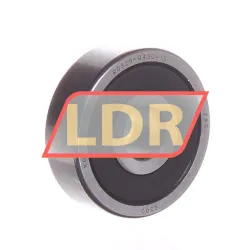 FAG 6300-B-2DRS-L278-SNZ1
