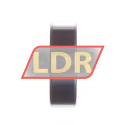 FAG 6300-B-2DRS-L278-SNZ1 rulman resim 2