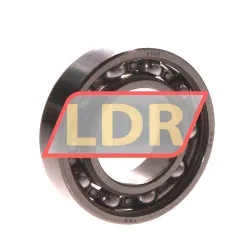 SNR 6005