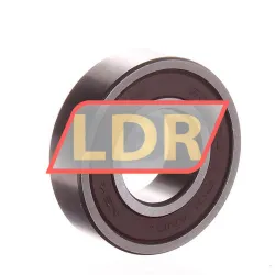 NSK 6002DDU C2