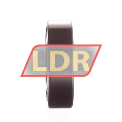 NSK 6002DDU C2 rulman resim 2