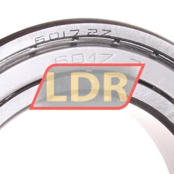 NKE 6017-2Z rulman resim 2