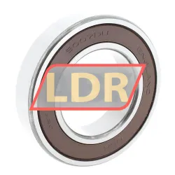 NSK 6007DDU