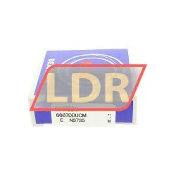 NSK 6007DDU rulman resim 2
