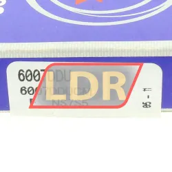 NSK 6007DDU rulman resim 3