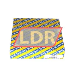 SNR 6019EE rulman resim 3
