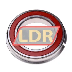 NTN 6012LLU NR