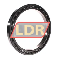 INA 61832-HLU-C3