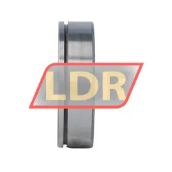 INA F-122502 rulman resim 3