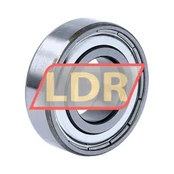 SNR 6004-ZZC3 rulman resim 2