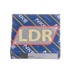 NKE 61807 rulman resim 3