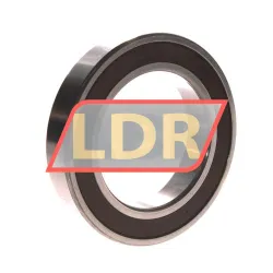 NSK 6014DDUC3 rulman resim 2