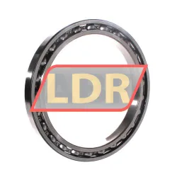 INA 61834-HLU