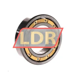 NTN 6210L1 C3
