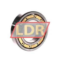 NTN 6210L1 C3 rulman resim 2