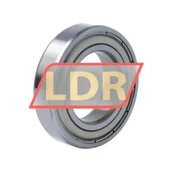 SNR 6007-ZZ-J30 rulman resim 2