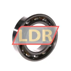 NSK 6008ZZCMAV2S rulman resim 2