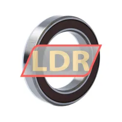 NSK 6013DDU C3 E rulman resim 2