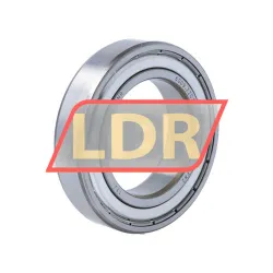 SNR 6009ZZC3