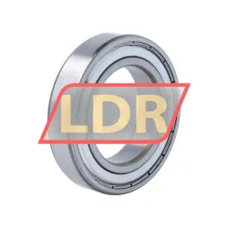 SNR 6009ZZC3 rulman resim 2