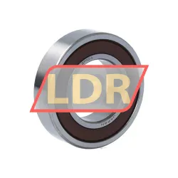 NSK 6005L11 DDU rulman resim 2