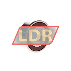 NSK 62205DDU rulman resim 2