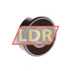 NSK 6302DDU