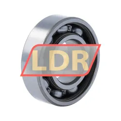 NSK 6004Z rulman resim 2