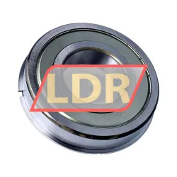 NSK 6314ZZNR rulman resim 2