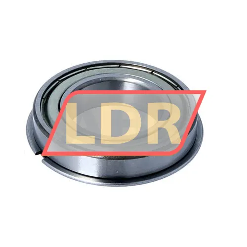 NSK 6007ZZNR ürün fotoğrafı 2