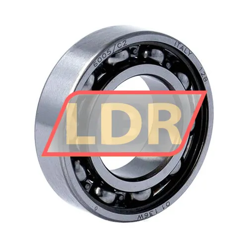 SKF 6005/C2