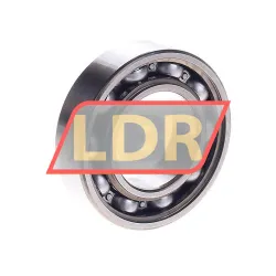 SKF 6005-RSH rulman resim 2