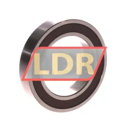 NSK 6906L11DDU