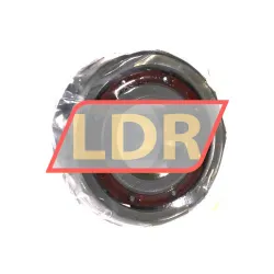 NSK 6204TCG12P4 rulman resim 2